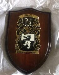 Medium Brass Shield