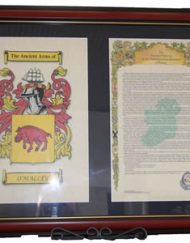 Double 17 x 11 framed Coat of Arms & Surname History