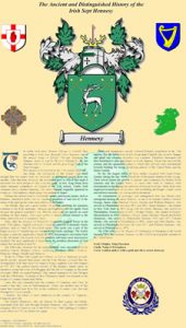 Irish Separatist Badge & Suname History