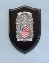 Small Pewter Shield